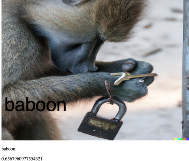 c2-dale-photographic documentation of a baboon attempting to open a padlock with a key