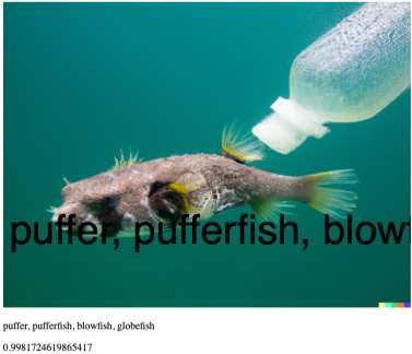 c2-dale-wild pufferfish swimming next to a plastic water bottle